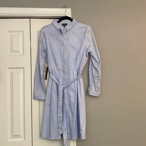 The Limited blue and white striped dress